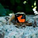 Smartwatch DT8 ULTRA Max Smartwatch DT8 ULTRA Max